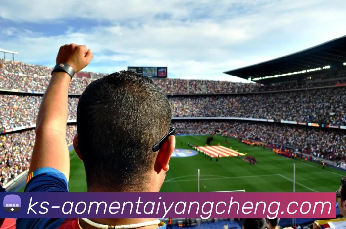 澳门太阳城娱乐平台生态图