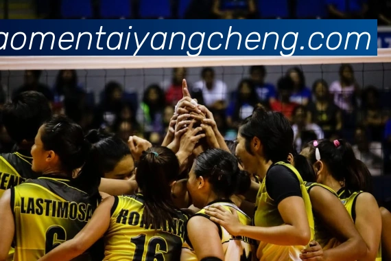 澳门太阳城娱乐APP 封面图